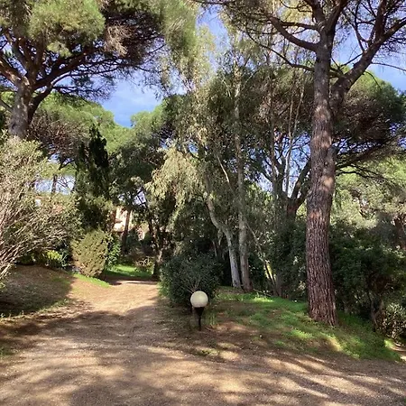 Mazet Domaine Des Restanques *